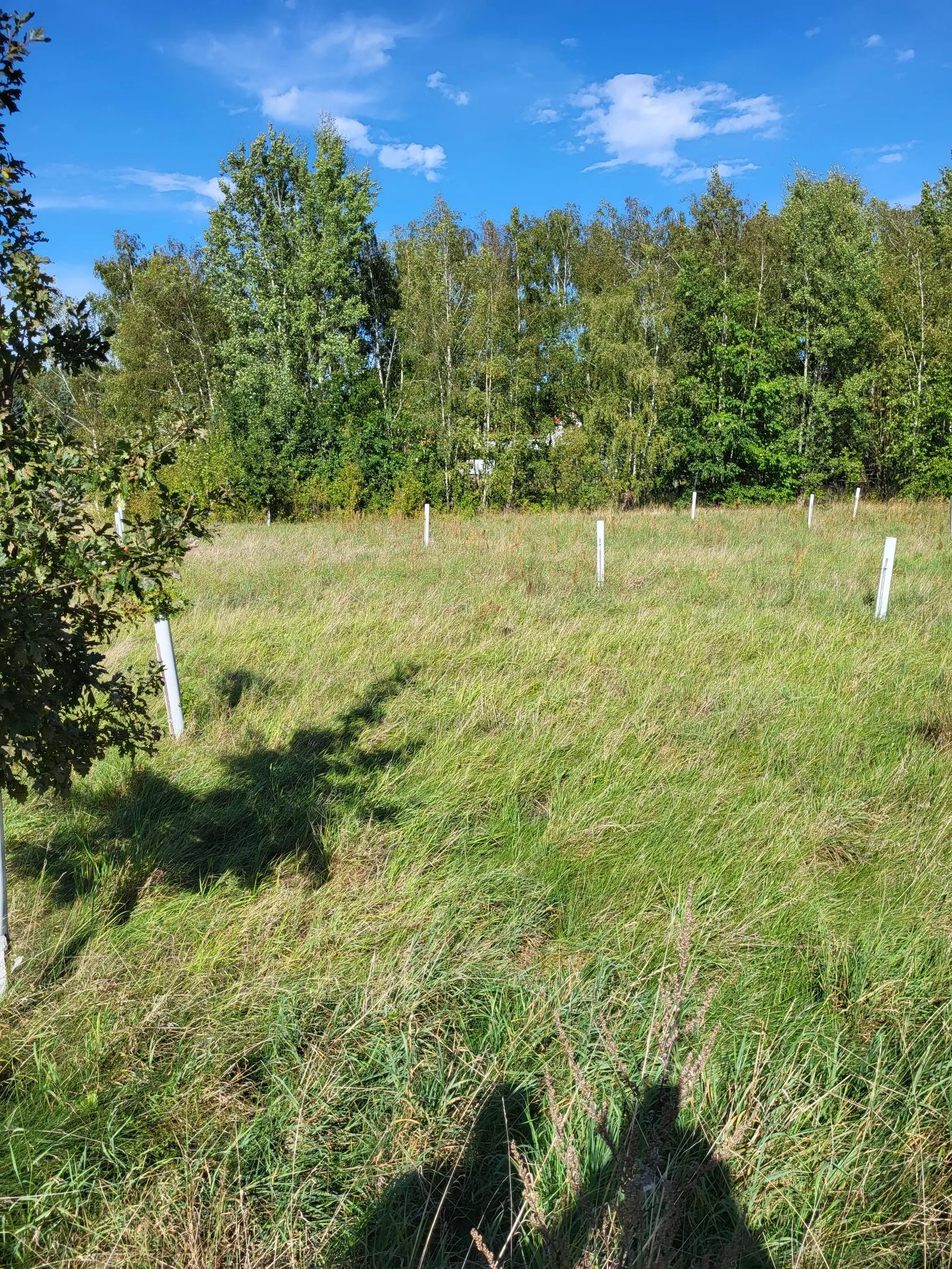 Grundstücksmedium 2