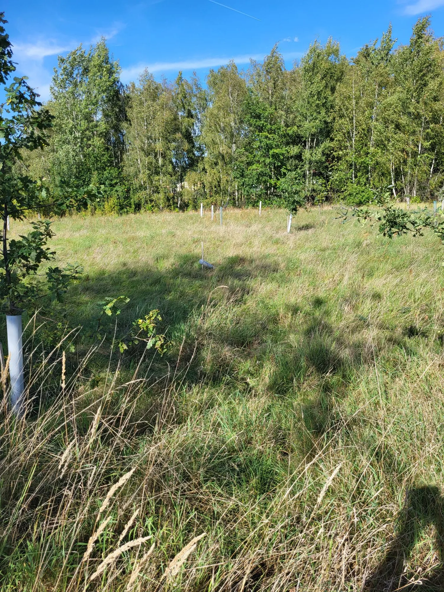 Grundstücksmedium 3