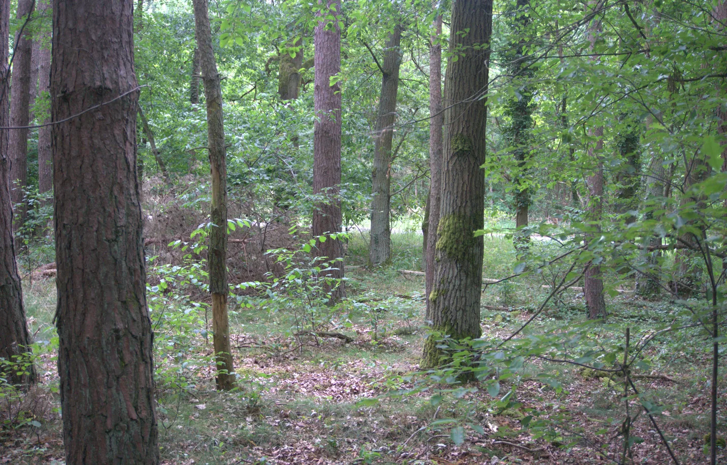 Grundstücksmedium 4