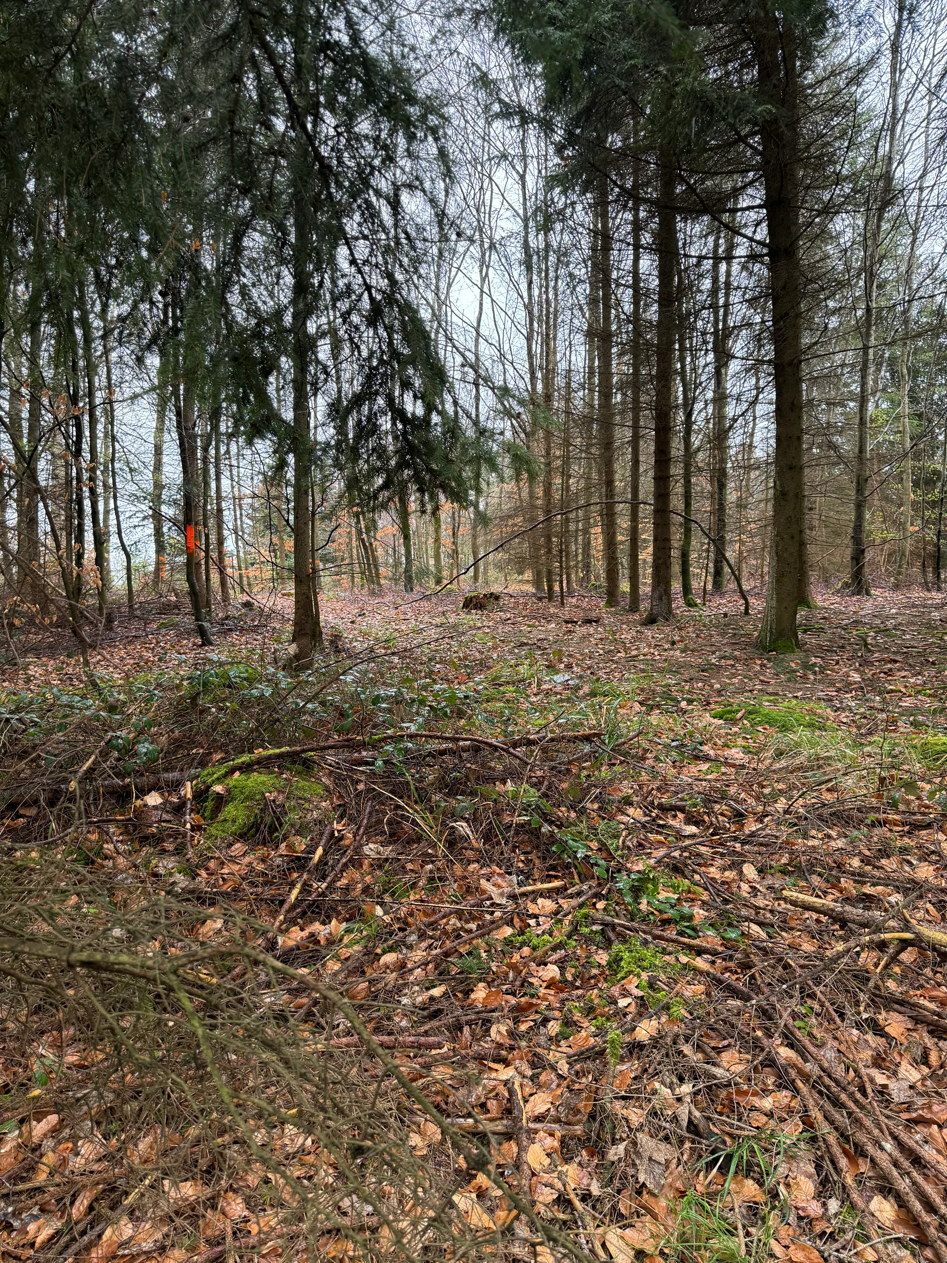 Grundstücksmedium 4