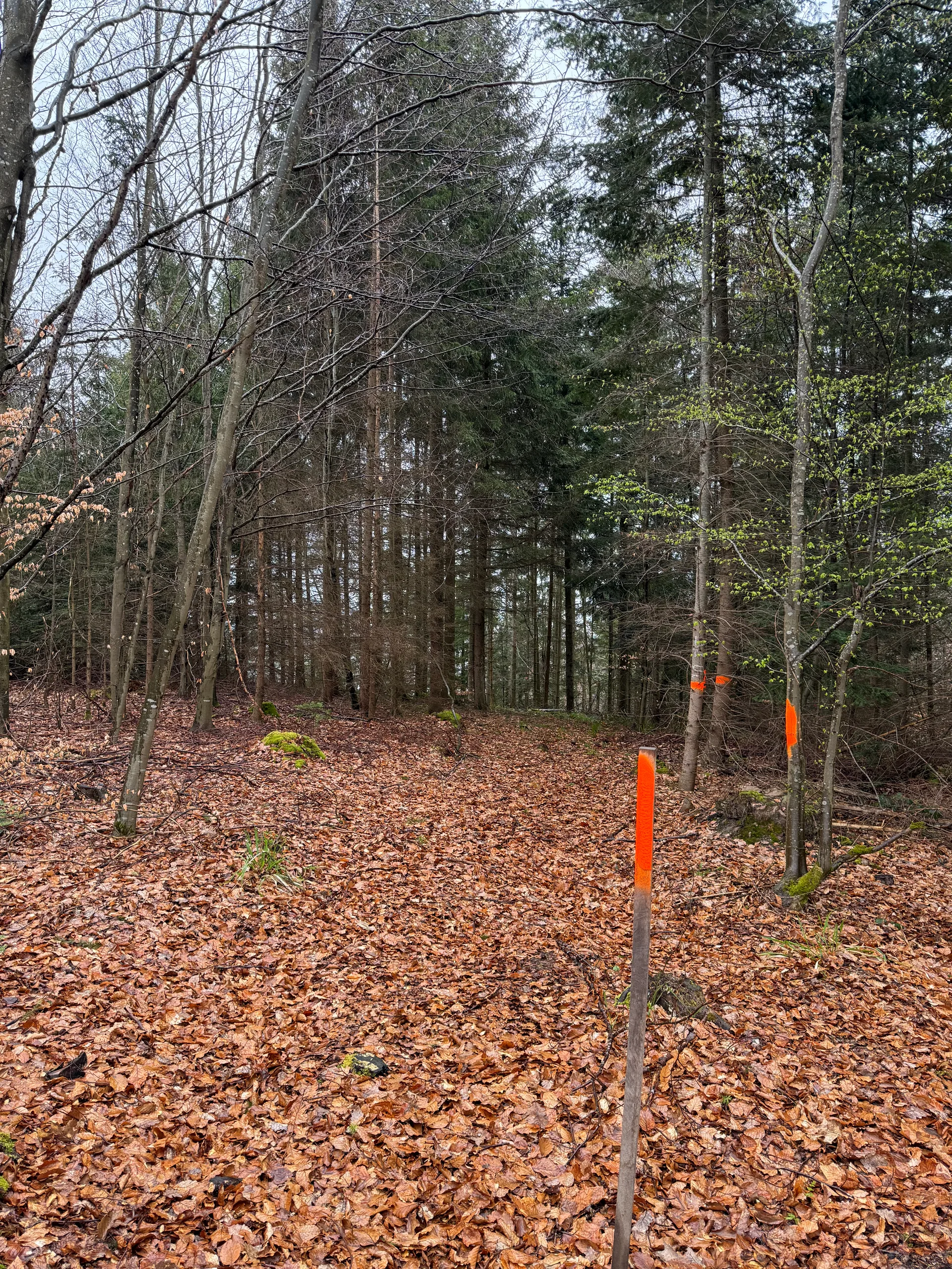 Grundstücksmedium 5
