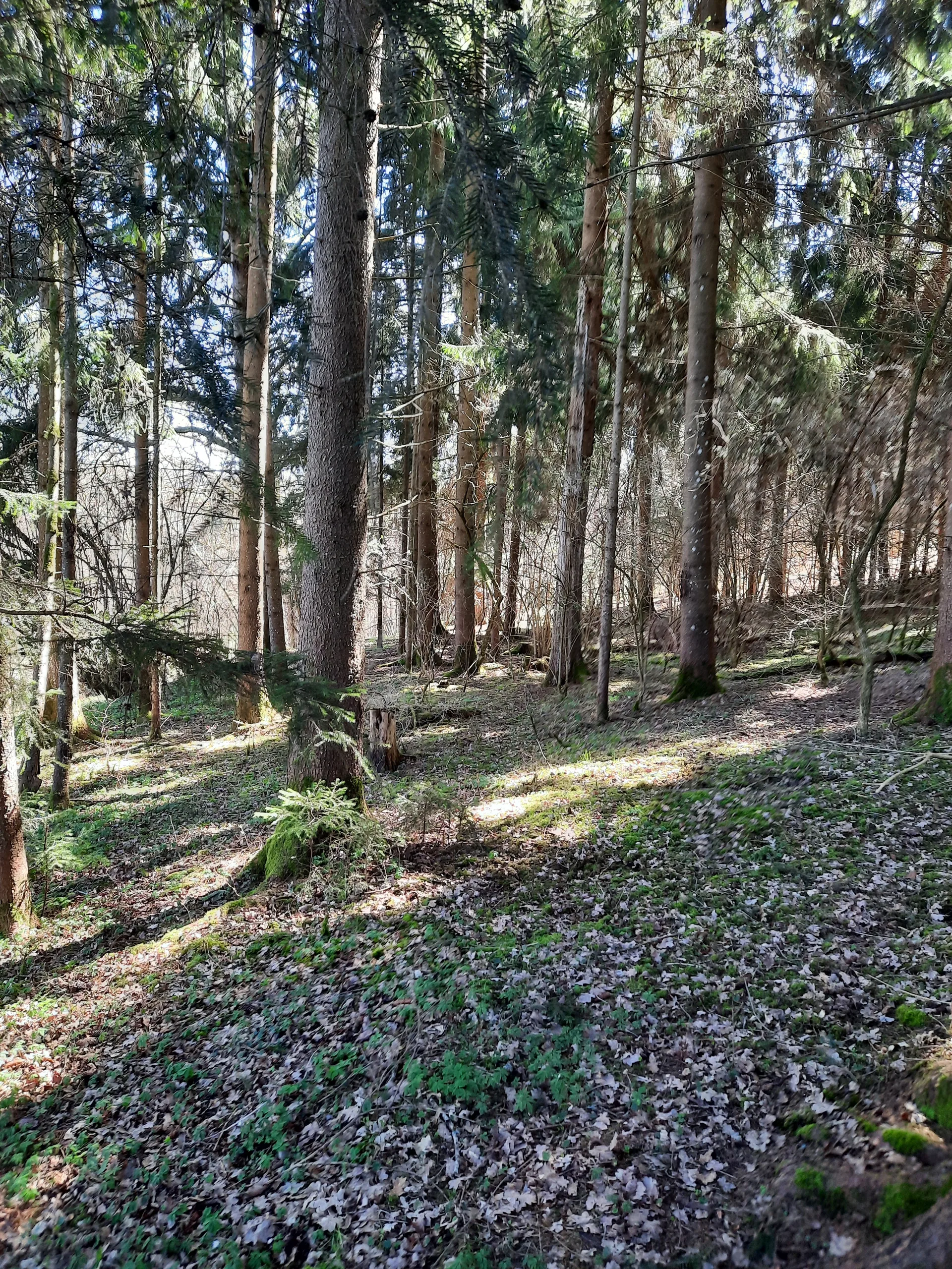 Grundstücksmedium 3