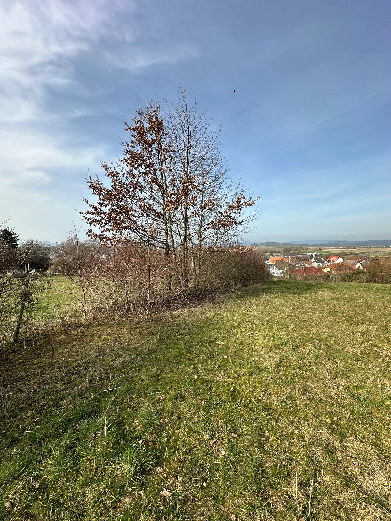 Grundstücksmedium 3