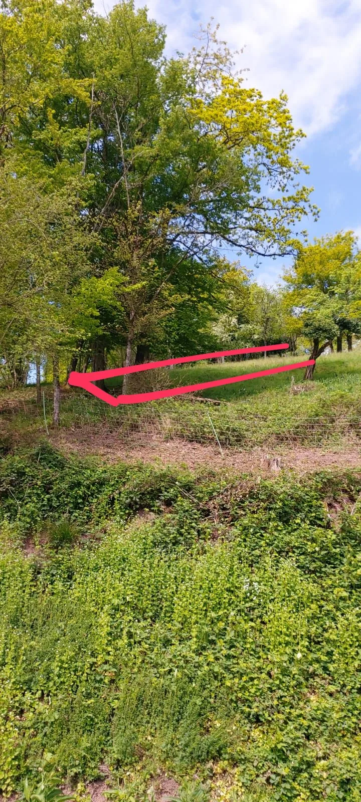 Grundstücksmedium 4