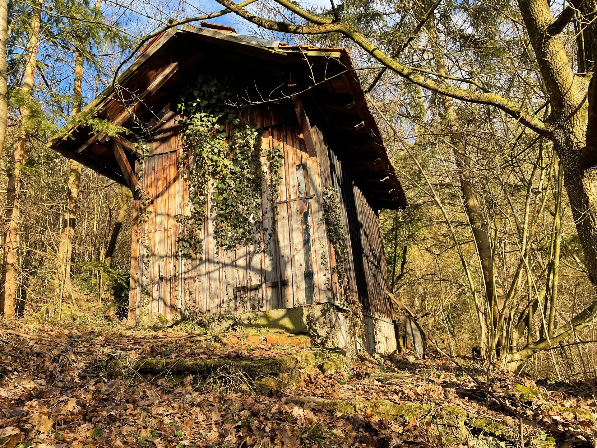 Grundstücksmedium 4