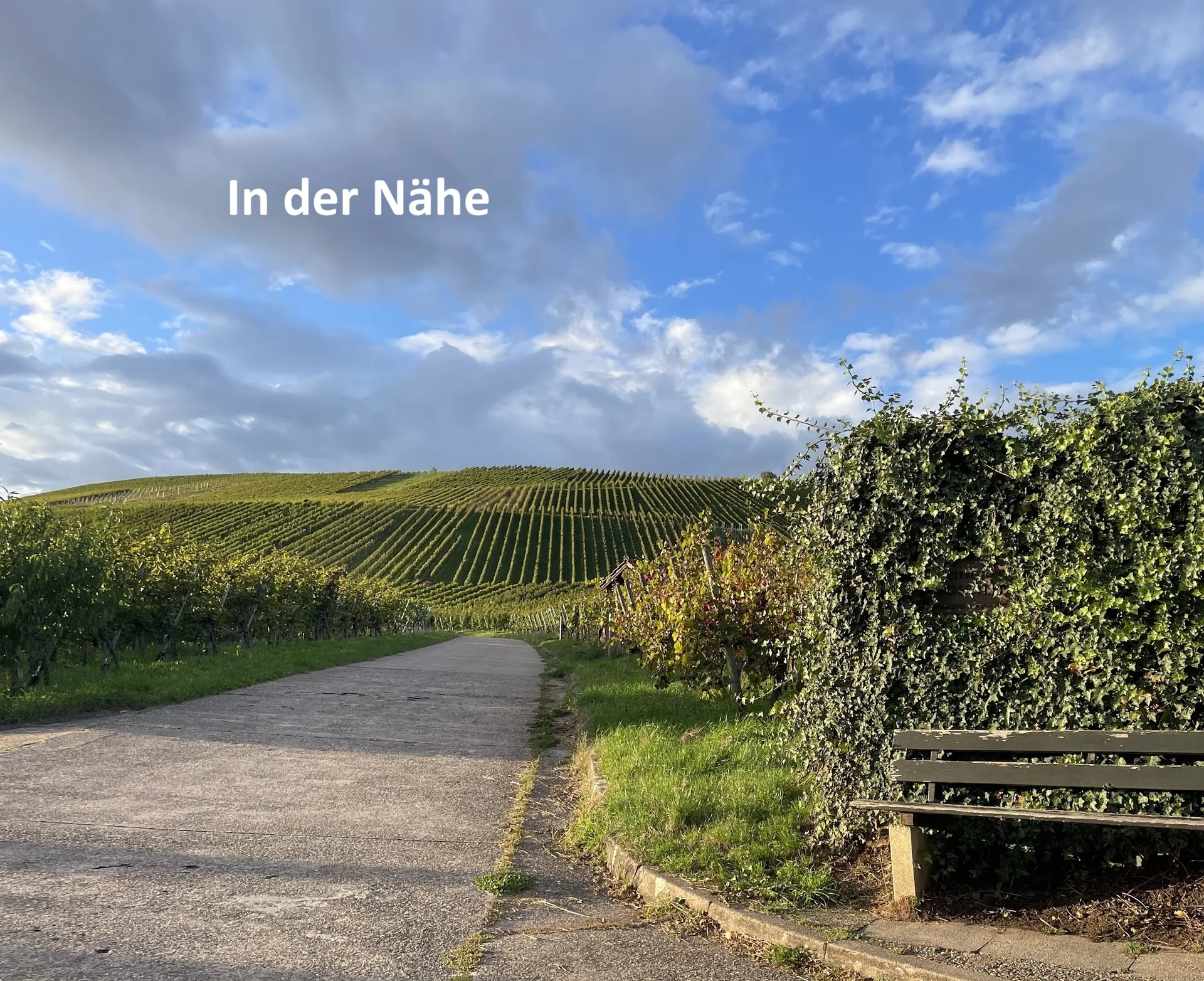 Grundstücksmedium 5