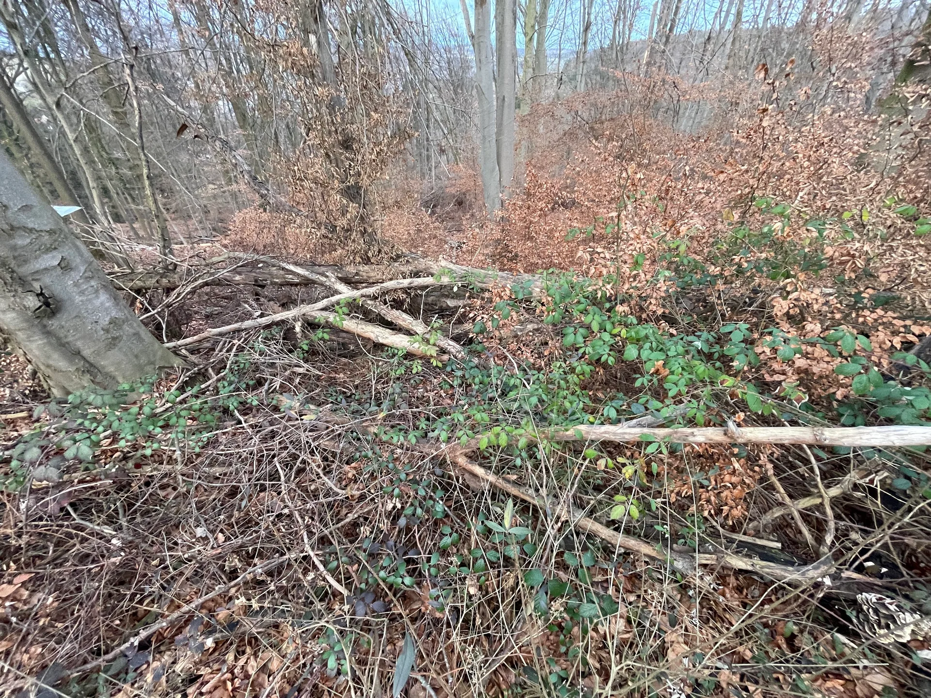 Grundstücksmedium 3