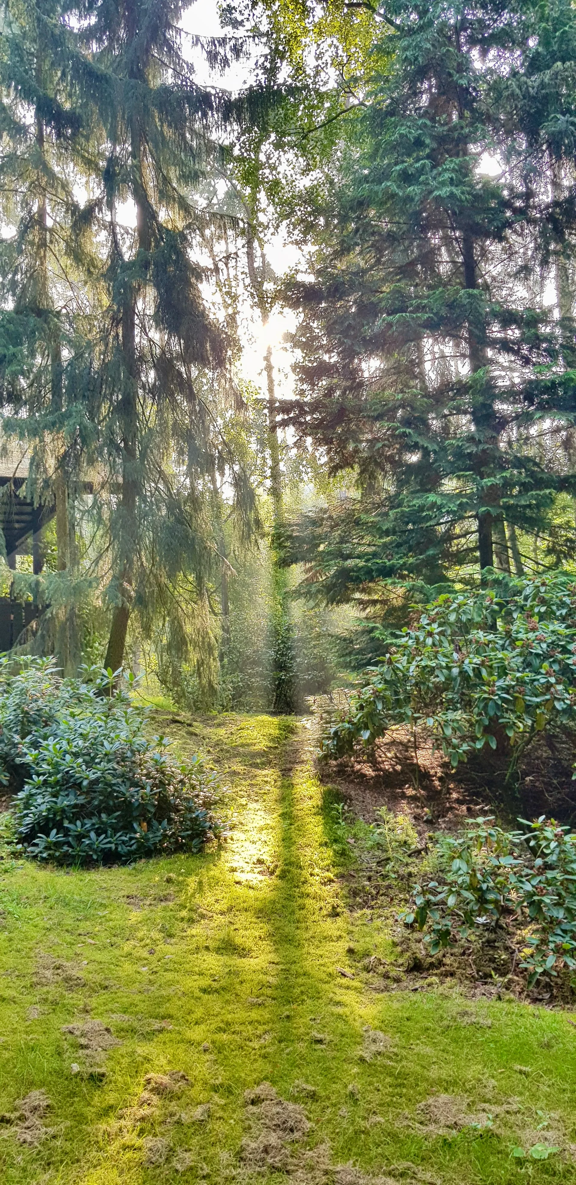 Grundstücksmedium 3