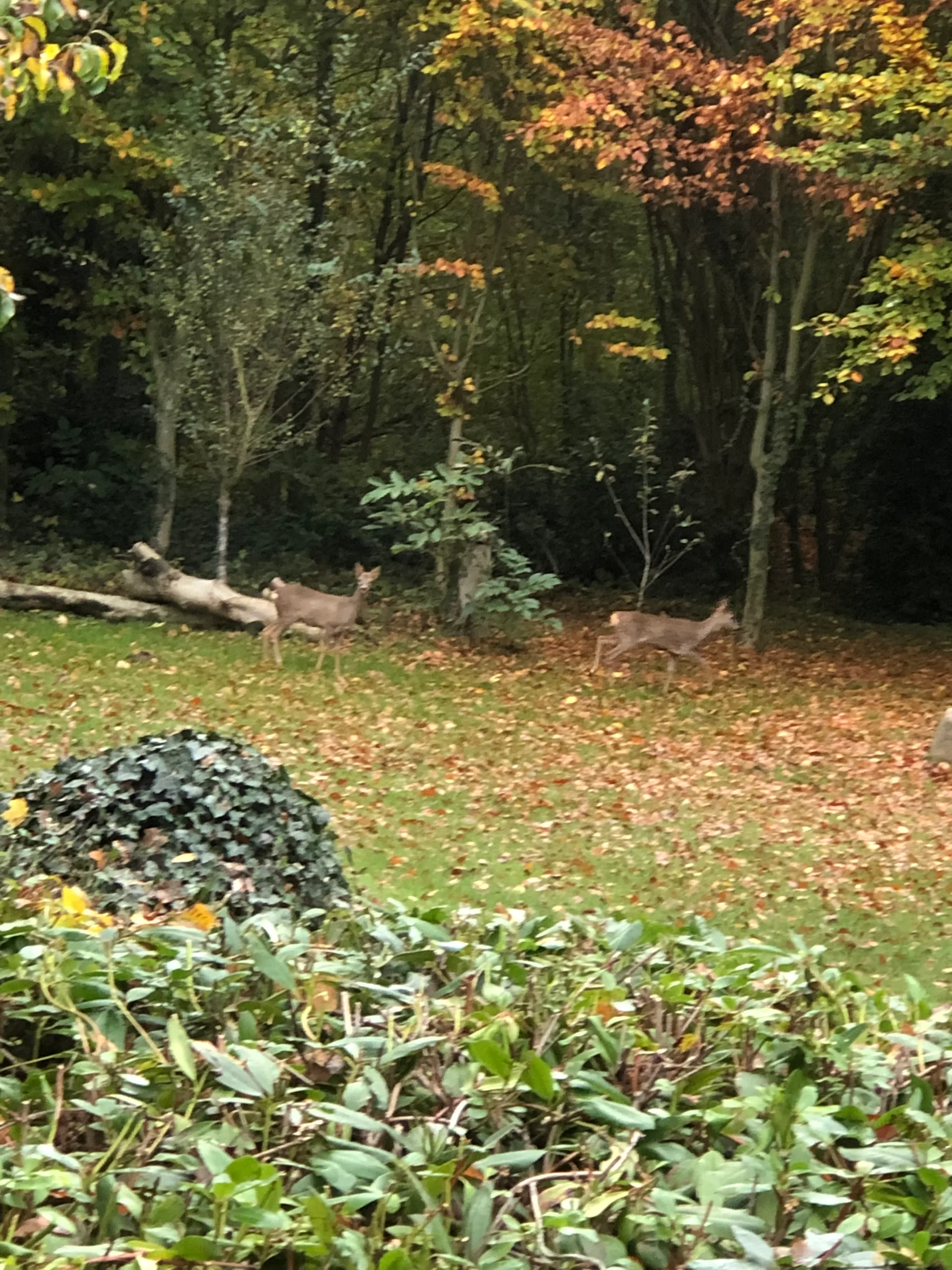 Grundstücksmedium 3