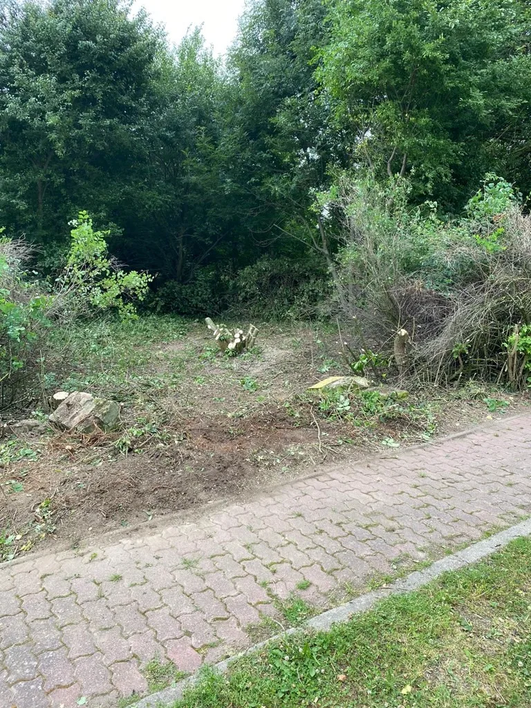 Grundstücksmedium 2
