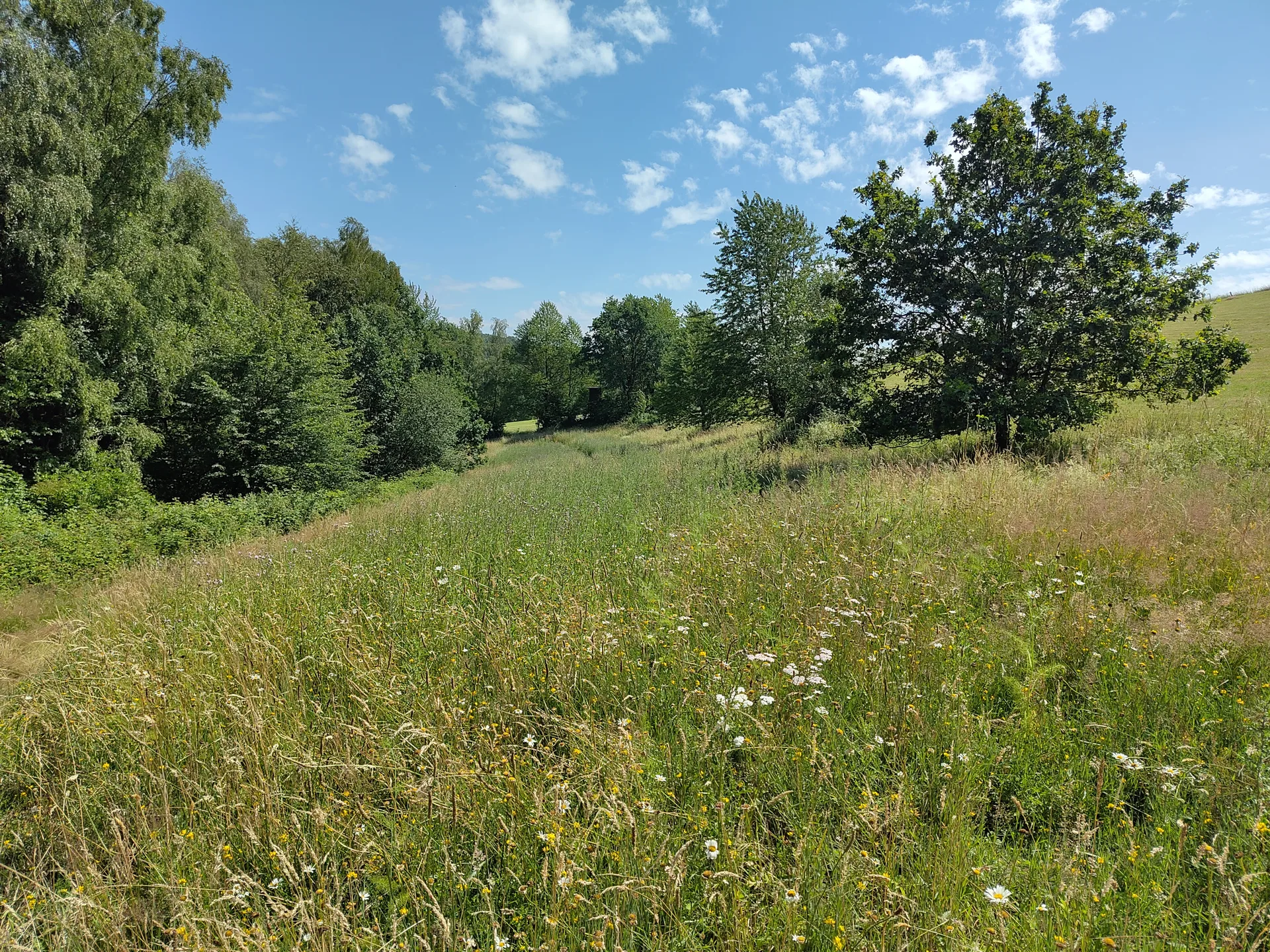 Grundstücksmedium 1