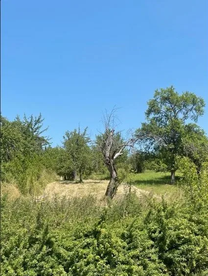 Grundstücksmedium 3