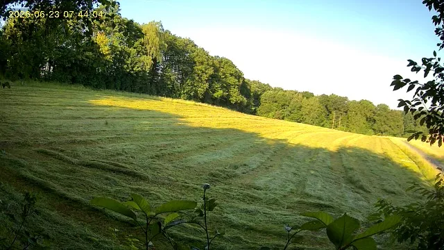 Grundstücksmedium 2