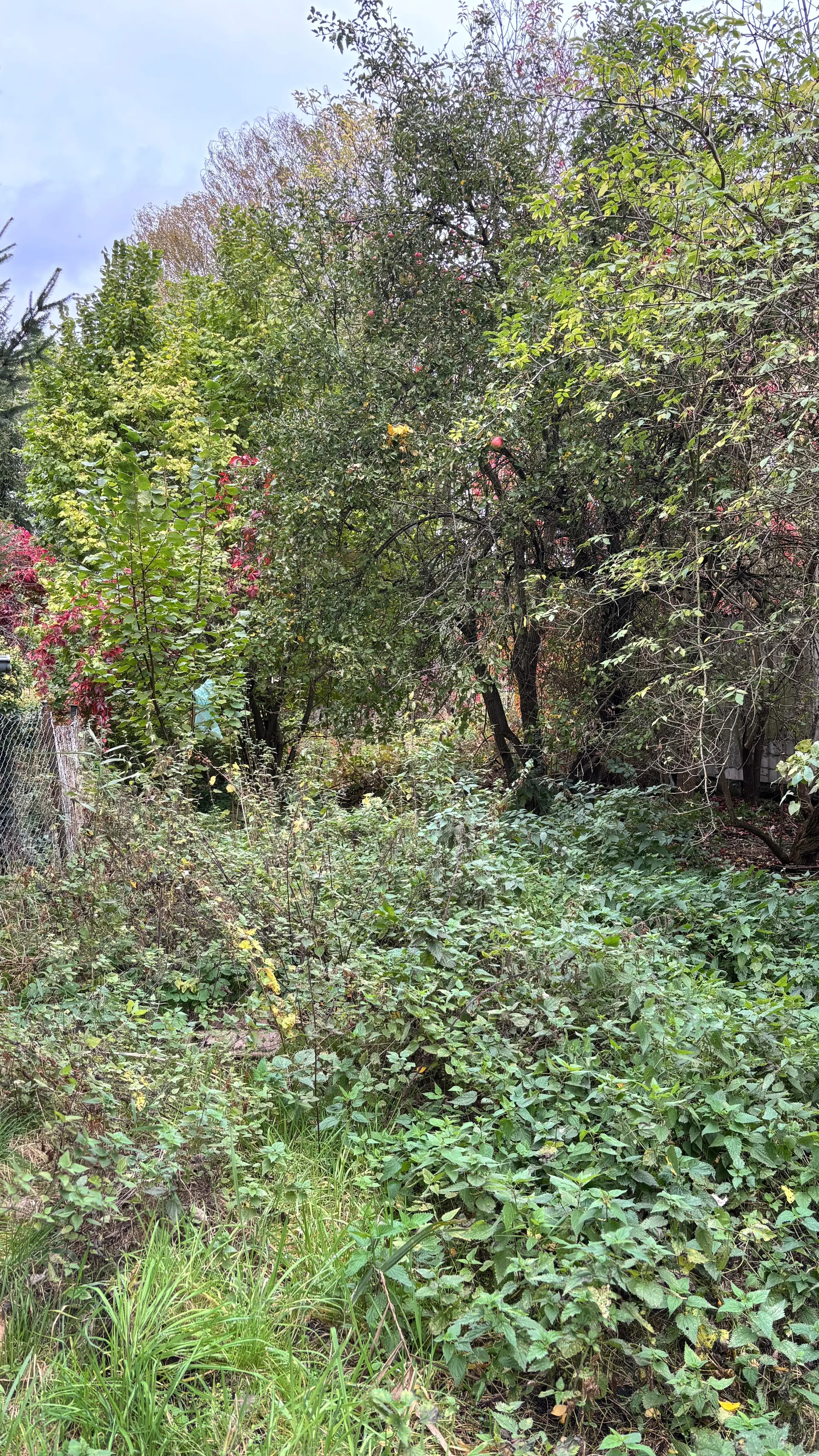 Grundstücksmedium 4